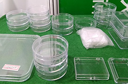 塑胶盒-上海国际奢侈品包装展